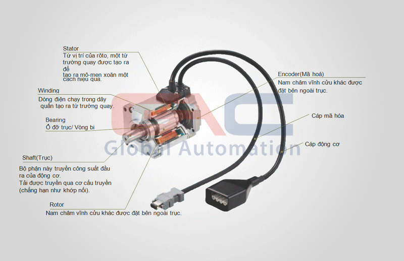 Cấu tạo của động cơ Servo